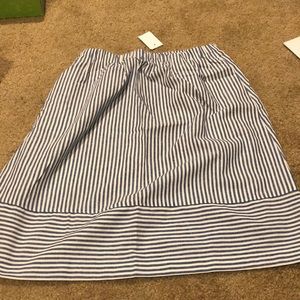 Jcrew Skirt